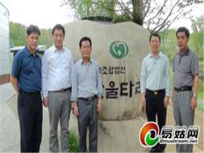 中國食用菌產(chǎn)業(yè)的挑戰(zhàn)-----韓國食用菌考察的思考